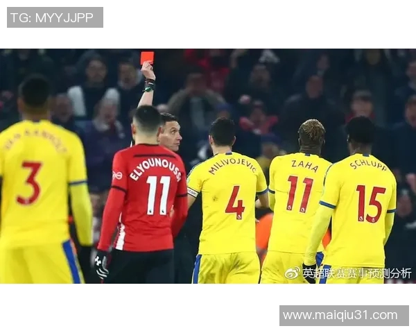 英超羽毛球评论南京羽毛球队运营的成功与挑战分析 英超羽毛球评论南京羽毛球队运营的成功与挑战分析